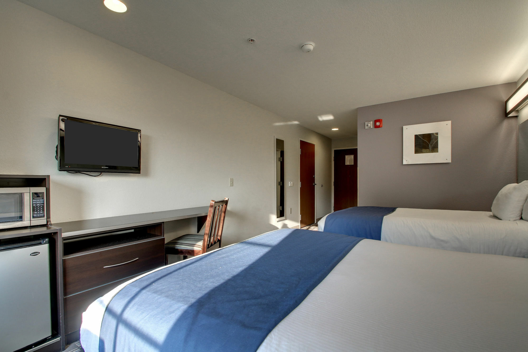 Microtel Inn & Suites By Wyndham Tuscaloosa Exterior foto